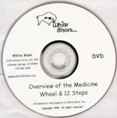 Overview of the Medicine Wheel and 12 Steps 