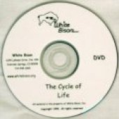 The Cycle of Life